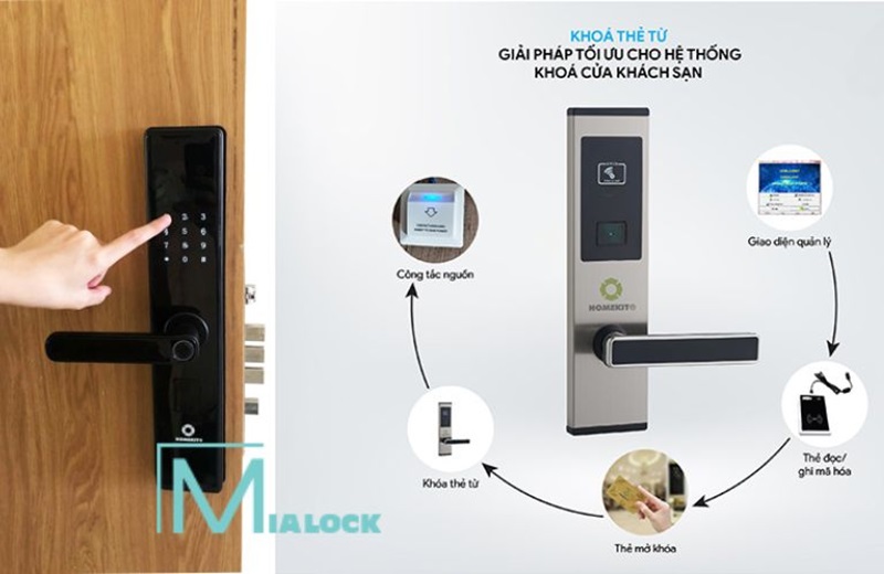 Mia Lock Việt Nam