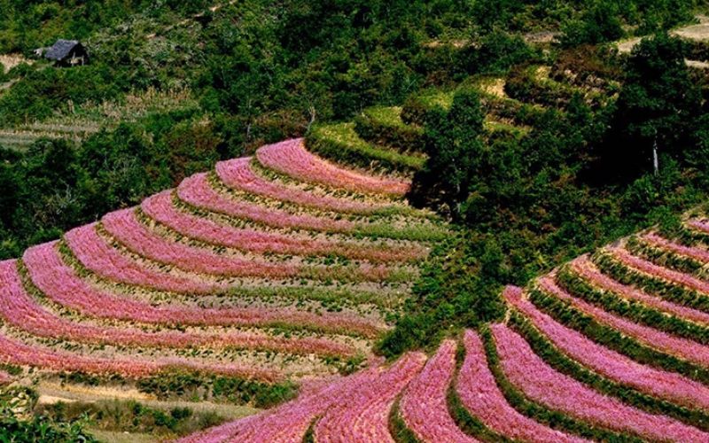 Thung Lũng Sủng Là