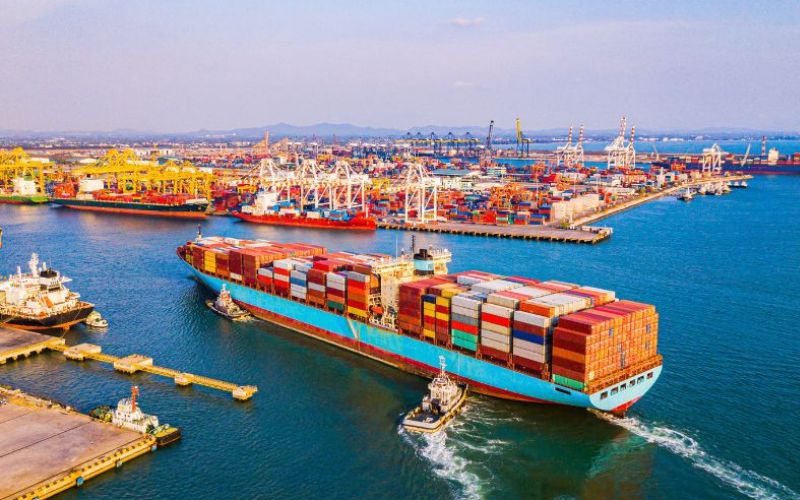 Nhập khẩu chính ngạch trực tiếp