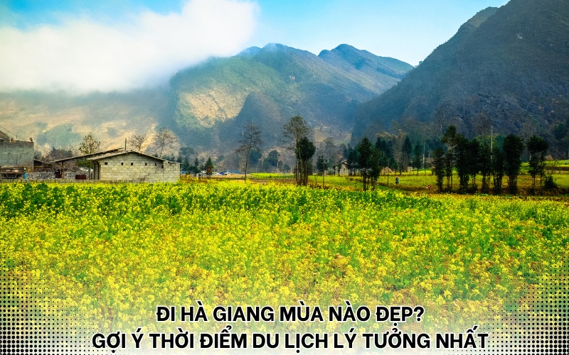 đi Hà Giang mùa nào đẹp