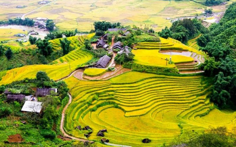 Du lịch Hà Giang mùa lúa chín