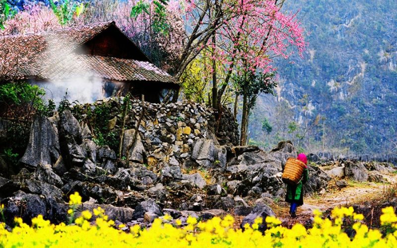 Du lịch Hà Giang mùa xuân